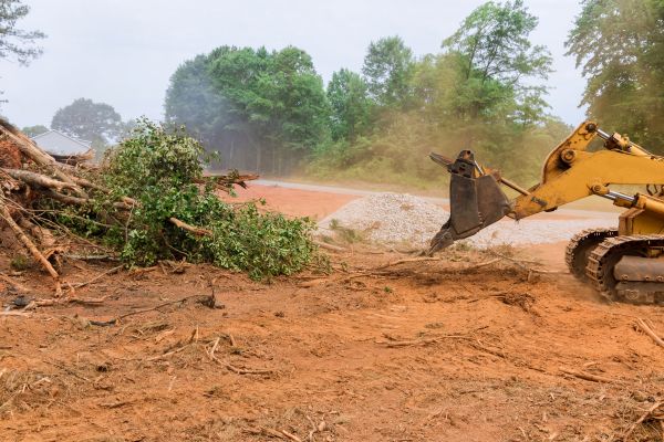 Ground Clearing in Kansas City