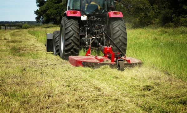 Brush Clearing Service in Kansas City