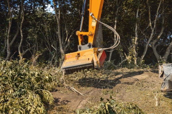 Brush Removal Service in Kansas City