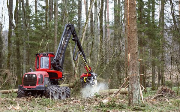 Cost of Forest Clearance Service in Kansas City