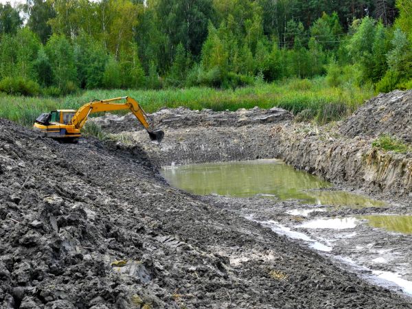 Cost of Lake Lot Clearing in Kansas City