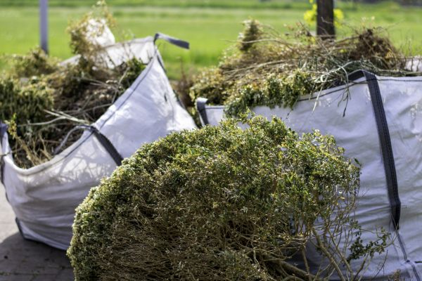 Cost of Bushes Clearing in Kansas City