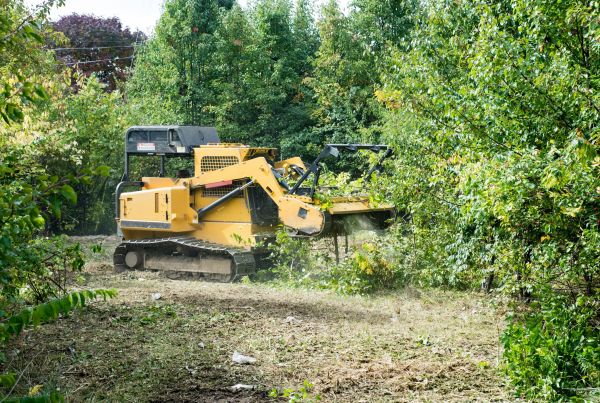Cost of Pathway Clearing in Kansas City