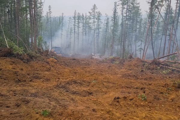 Cost of Hill Clearing in Kansas City