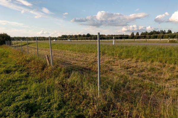 Cost of Property Line Clearing in Kansas City