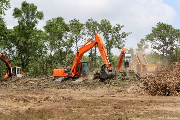 Cost of Commercial Lot Clearing in Kansas City