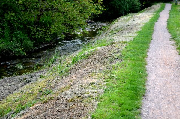 Cost of Trail Cutting in Kansas City