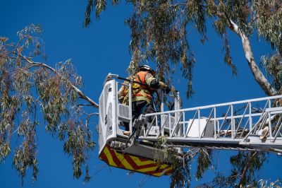Safety Gear for Land Clearing